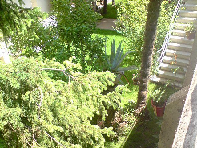 Hotel La Pergola Amélie-les-Bains-Palalda المظهر الخارجي الصورة